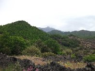 otta monte Arcimis20100530 070